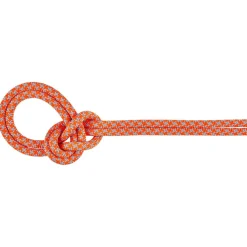 Mammut - 8.7 Crag Sender Dry Rope - Einfachseil