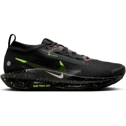 Nike - Pegasus Trail 5 GORE-TEX - Trailrunningschuhe