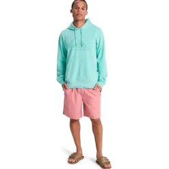 Quiksilver - Comp Logo Hoodie - Hoodie