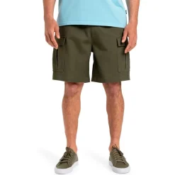 Quiksilver - Taxer Cargo WS - Shorts